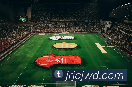 问鼎28平台生态图